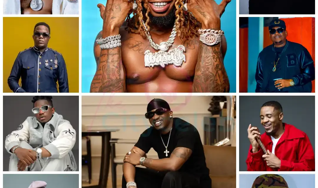 Meet Top 10 Richest Musicians in Tanzania