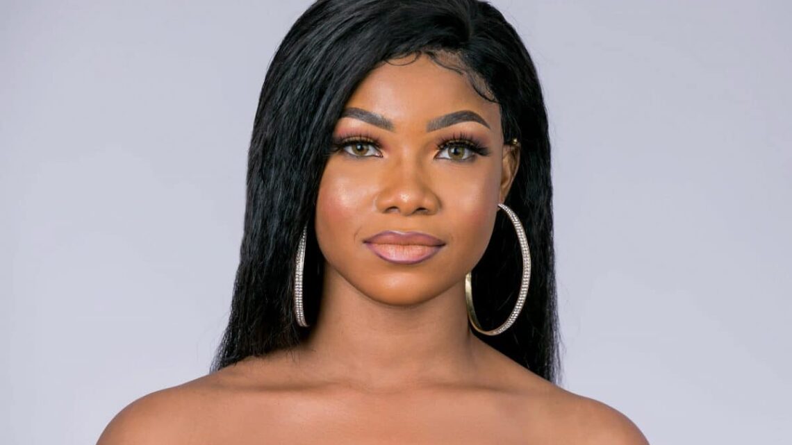 Anita Natacha Akide Biography: Age, Parents, Net Worth, Height, BBNaija, Business, Foundation, Spouse