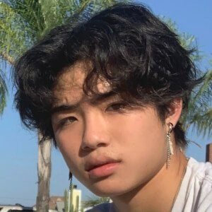 Aidan Hoang Biography: Age, Height, Net Worth, Parents, Career, TikTok, Girlfriend