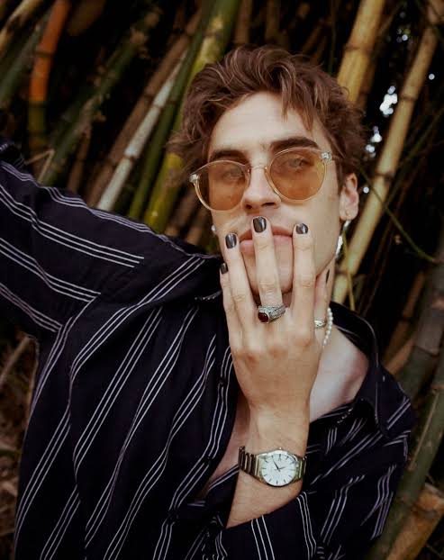 Taylor Roche Biography: Ethnicity, Parents, Instagram, Songs, Net Worth, Girlfriend, Height, Age