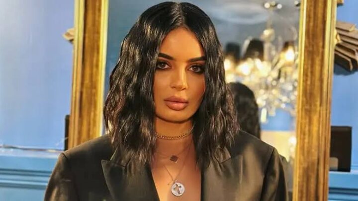 Ani Yeranyan Biography: Age, Parents, Boyfriend, Songs, Movies, TV Shows, Net Worth, Instagram