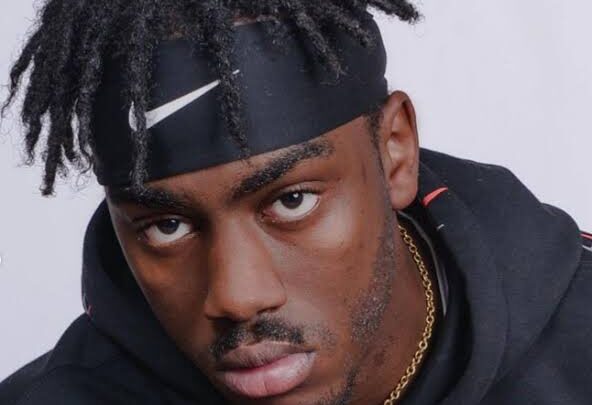 Acrello Biography: Age, Parents, Height, Net Worth, Girlfriend, Career, TikTok, YouTube