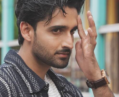 Farman Haider Biography: Brother, Movies, Parents, Age, Law Career, Ethnicity, Girlfriend, Height