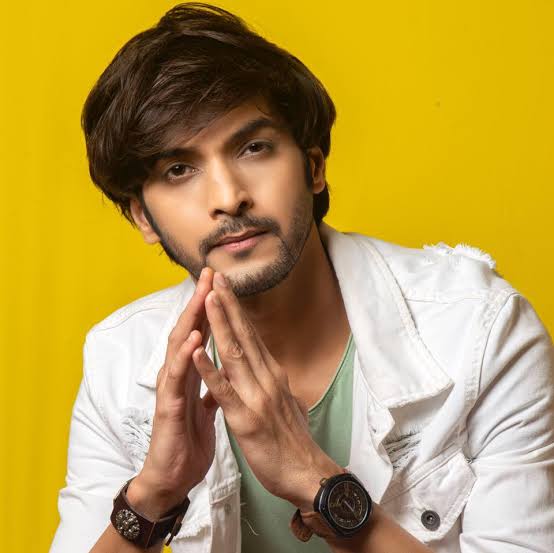 Ashish Dixit Biography: Runway, Instagram, Height, Net Worth, Awards, Instagram, Age, Girlfriend, Awards, Movies