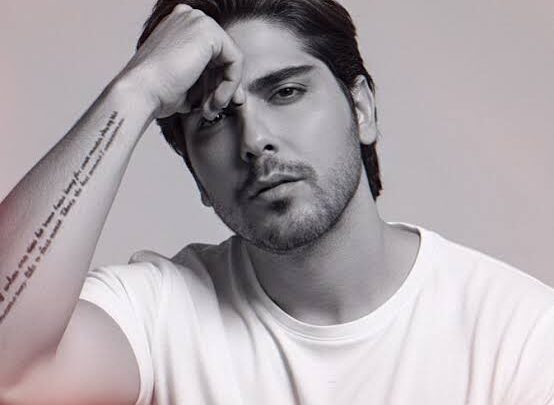 Ramin Bibak Biography: Awards, Music Band, Ethnicity, Parents, Net Worth, YouTube, Wife, Age, Height, Religion