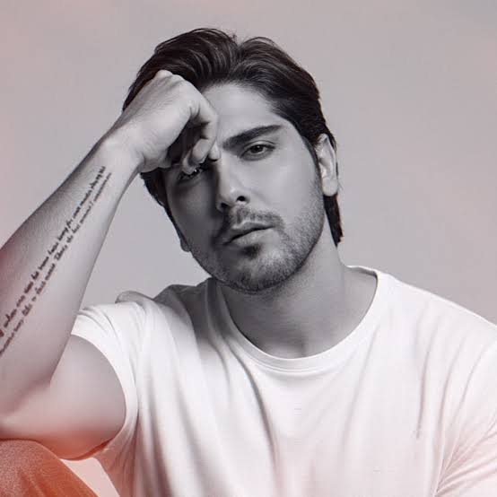 Ramin Bibak Biography: Awards, Music Band, Ethnicity, Parents, Net Worth, YouTube, Wife, Age, Height, Religion