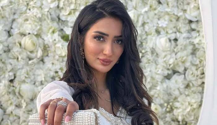 Chorouk Chelouati Biography: Age, Husband, Children, Net Worth, Career, Miss Arab World, Wiki, Instagram, Movies