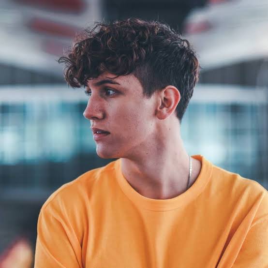 Luboš Kulíšek Biography: Age, Height, Partner, Net Worth, Parents, YouTube Career, Ethnicity