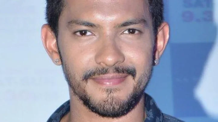 Aditya Narayan Biography: Age, Wife, Daughter, Parents, Idol, Height, Net Worth, Songs, Facebook