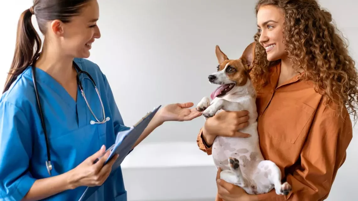 How to Decode What Your Veterinarian’s Bill Is Actually Charging You For