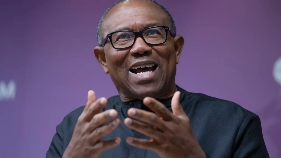 Is Peter Obi Really the Solution to Nigeria’s Problems? Can He Make Nigeria Any Better?