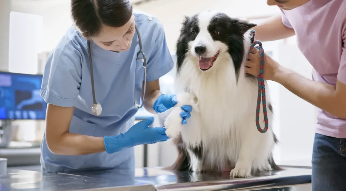 What Pet Insurance Actuaries Know About Breed-Specific Health Costs