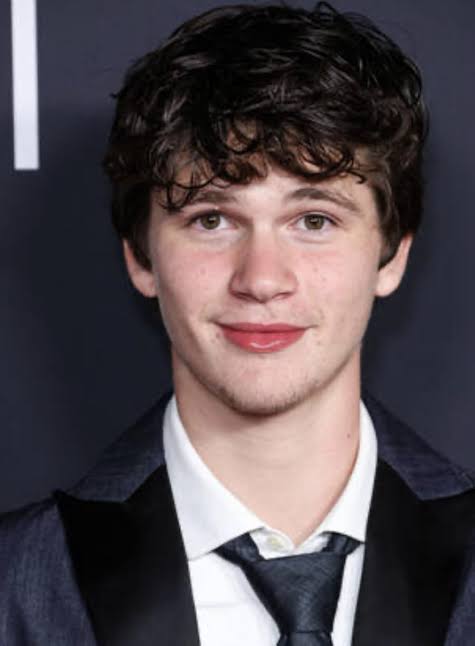 Gabriel Bateman - Biography