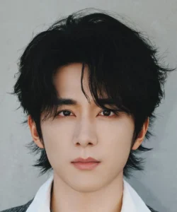 Zhang Xincheng - Biography