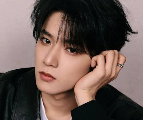 Liu Yaowen Biography: Age, Siblings, Net Worth, Height, Songs,  Movies, Weibo, Boyfriend, Ethnicity