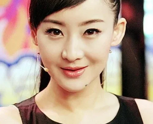 Mai Hongmei Biography: Divorce, Height, Age, Ex-Husband, Children, Net Worth, Movies, TV Shows