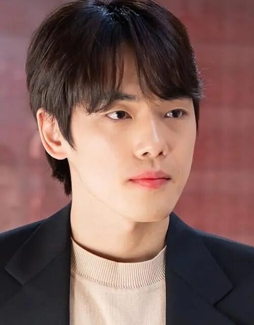 Kim Jung-heon Biography: Age, Height, Net Worth, Parents, Movies & TV Shows, Partner