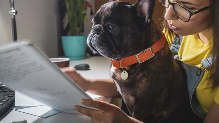 How Pet Insurance Underwriting Works and What Pre-Existing Conditions Mean for Your Claim