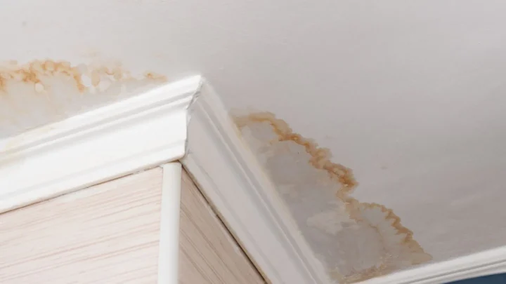 How to Identify Water Damage Before It Becomes a Structural Issue