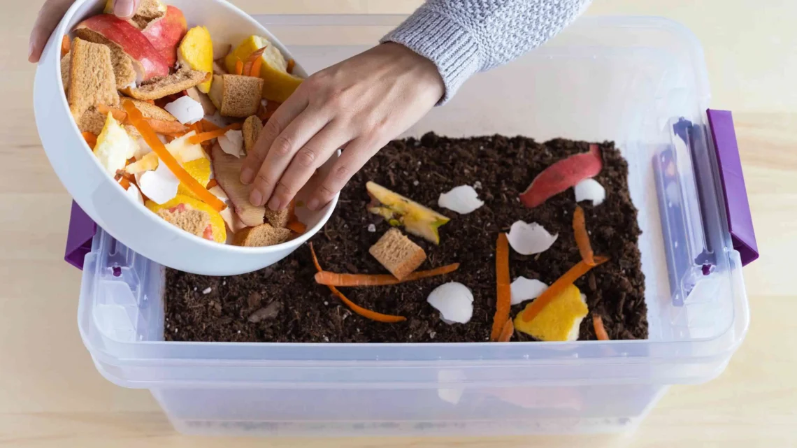 How to Start Composting in an Apartment Without Smell or Pests