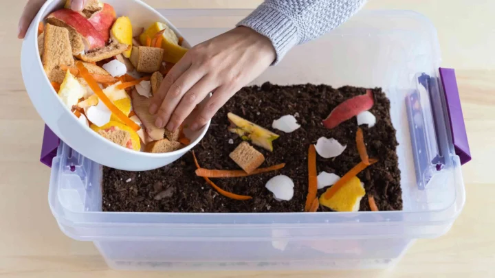 How to Start Composting in an Apartment Without Smell or Pests