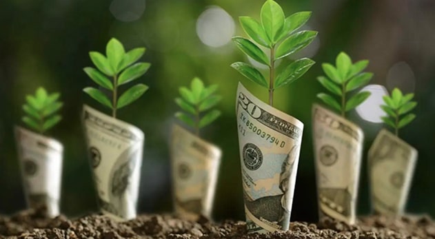 What Greenwashing Looks Like in Practice and How to Identify It