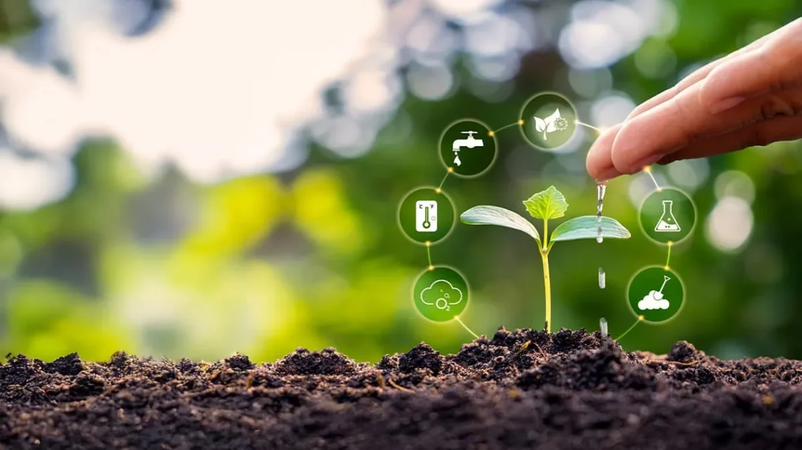 What Regenerative Agriculture Is and How It Differs From Organic Farming