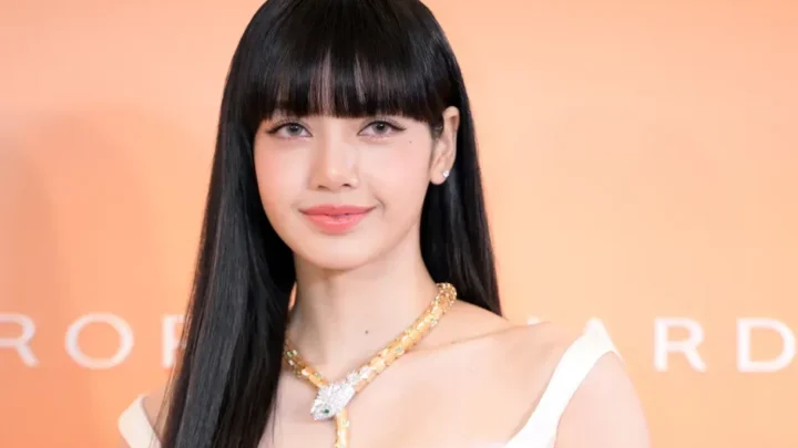 LiSA (singer) Biography: Net Worth, Spouse, Age, Boyfriend, Siblings, Parents, Songs