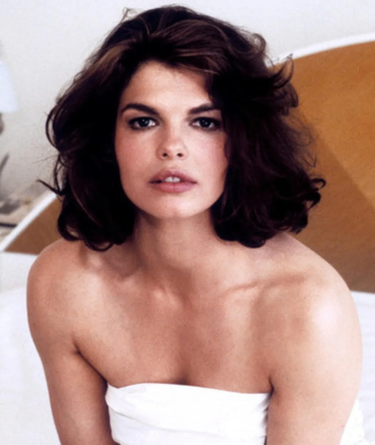 Jeanne Tripplehorn - Biography