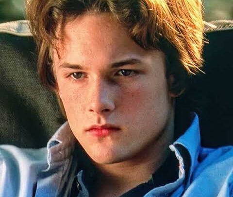 Brad Renfro Biography: Parents, Age, Height, Net Worth, Movies, Girlfriend, Ethnicity, Religion, Death