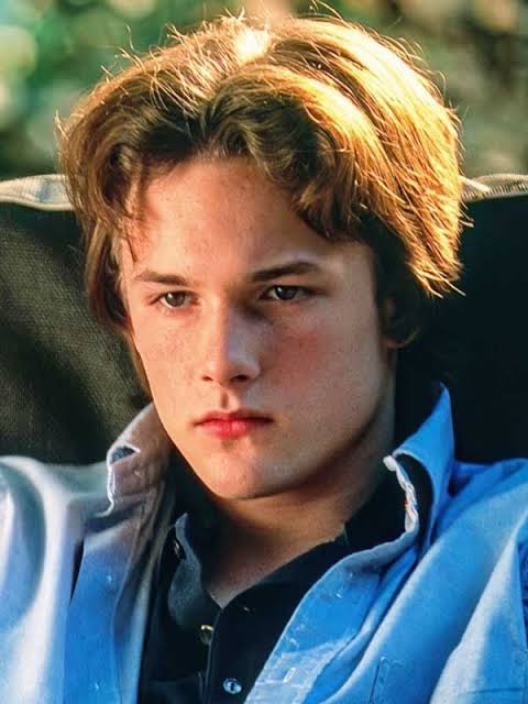 Brad Renfro Biography: Parents, Age, Height, Net Worth, Movies, Girlfriend, Ethnicity, Religion, Death
