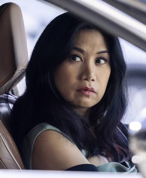 Liza Lapira - Biography