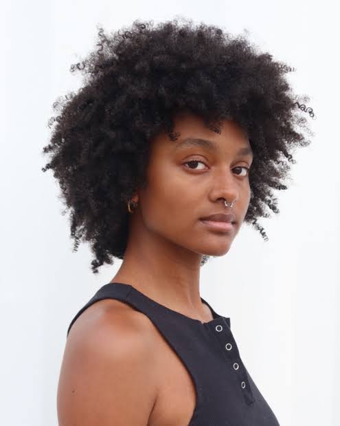Shailyn Pierre-Dixon Biography: Height, Net Worth, Movies, Instagram, Boyfriend, Awards, Ethnicity, Age, Parents