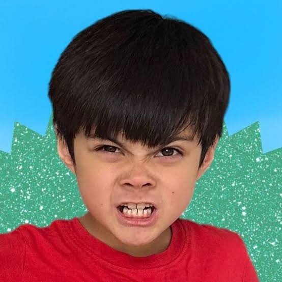 Dylan Boling Biography: YouTube Star, Family Vlogs, Height, Net Worth, Age, Ethnicity