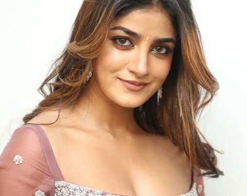 Dimple Hayathi Biography: Height, Net Worth, Age, Movies, Boyfriend, Parents, Religion