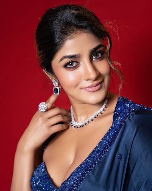 Dimple Hayathi - Biography