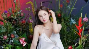 Shin Se kyung - Biography