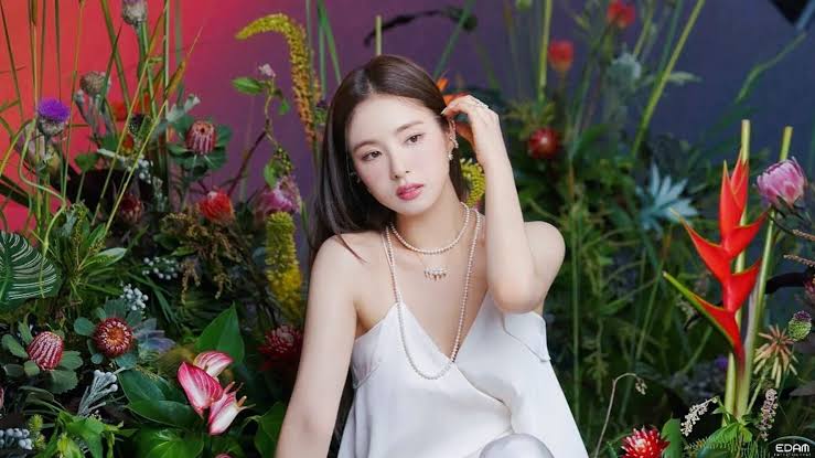 Shin Se-kyung Biography: Education, Boyfriend, Age, TV Shows, Height, Net Worth, Parents, Movies, Instagram