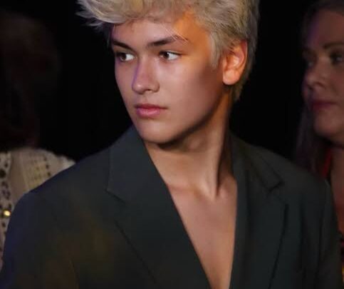 Hudson Stone Biography: Age, Parents, Siblings, Net Worth, Movies & TV Shows, Songs, Girlfriend