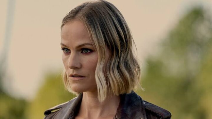 Kelly Overton Biography: Net Worth, Parents, Husband, Age, Kids, Height, Movies, Awards, TV Shows, Books, Wikipedia