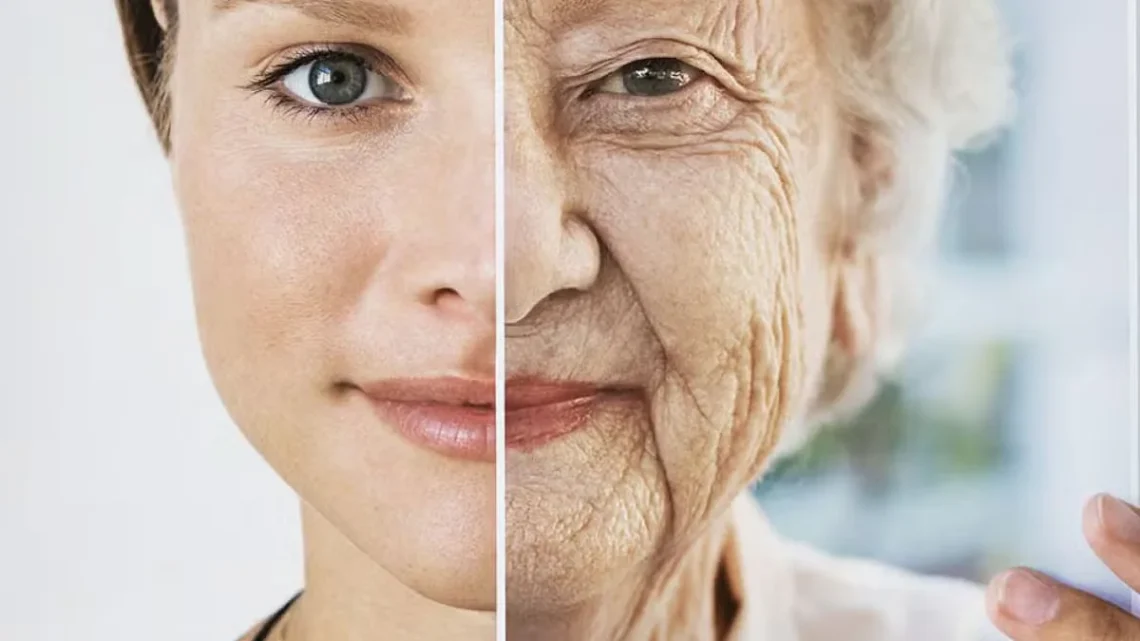 How Chronic Inflammation Ages You Faster and the Foods That Drive It