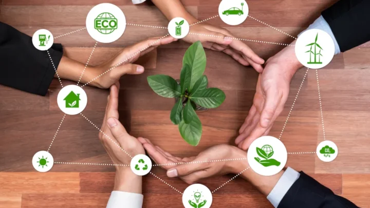 The Business Case for Sustainability That Goes Beyond Reputation