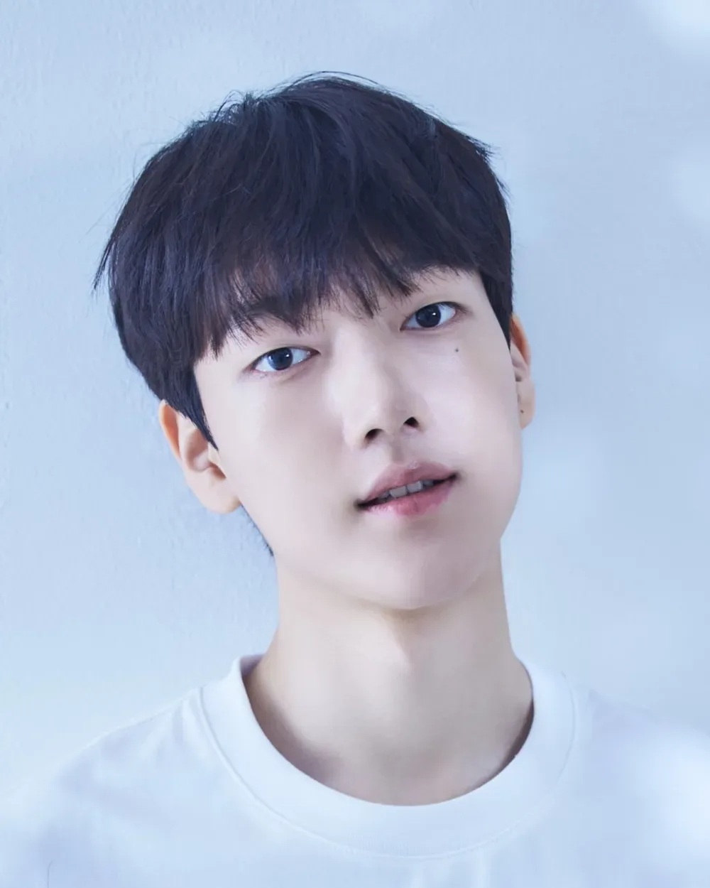Lee Hyo-je - Biography