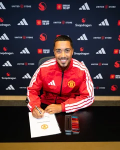 Youri Tielemans - Biography