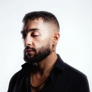 Sofiane Pamart