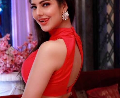 Parree Pande Biography: Songs, Ethnicity, Net Worth, Age, Songs, Boyfriend, Movies, Awards