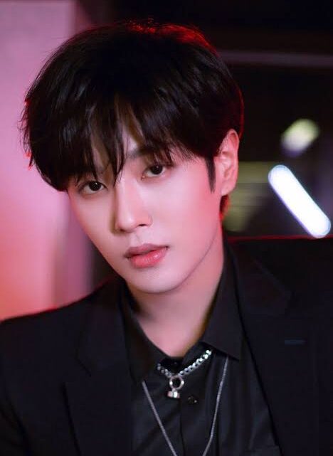 Li Wenhan Bio: Awards, Ethnicity, Net Worth, Age, Parents, Movies, Girlfriend, Songs