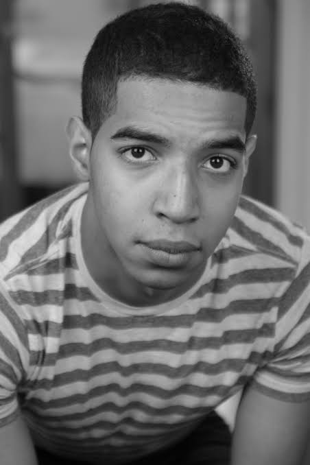 Austin S. Harris - Biography