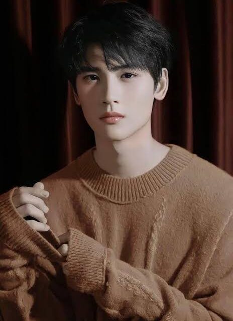 Huang Junjie Biography: Net Worth, Height, Movies, Ethnicity, Age, Awards, Girlfriend