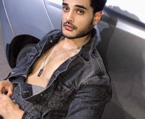 Joshua Chhabra Biography: Girlfriend, Movies, Ethnicity, Age, Net Worth, Height, Parents, Instagram